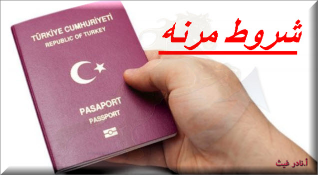 الجنسية التركية تدعم الليرة التركية