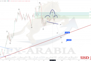 الدولار ين