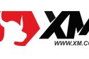 XM تُطلق منتجات مالية جديدة على MT5