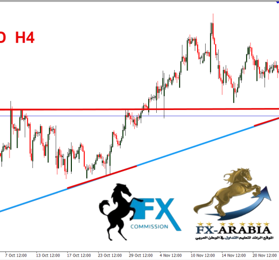 الاسترالي نيوزلندي