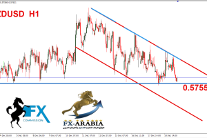 النيوزلندي دولار