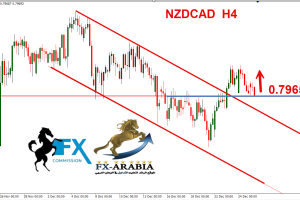 النيوزلندي كندي