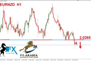 اليورو نيوزلندي