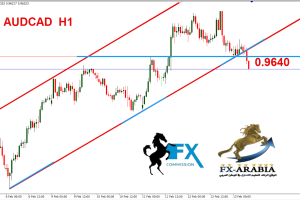 الاسترالي كندي