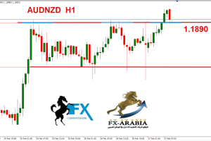 الاسترالي نيوزلندي