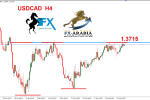 الدولار كندي