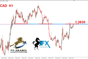 الدولار كندي