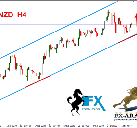 استرالي نيوزلندي