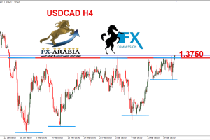 الدولار كندي