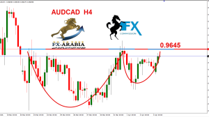 الاسترالي كندي