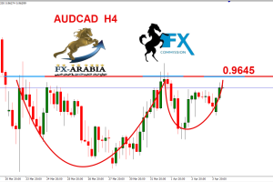 الاسترالي كندي