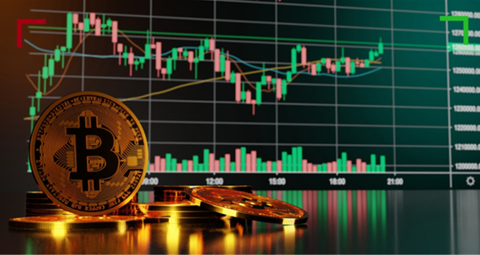 بين الشاشة والقرار كيف تشكّل بنية منصة التداول مسار قرارات المتداول؟